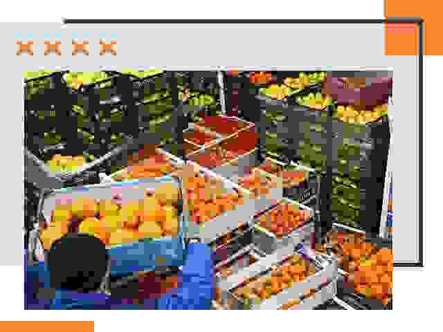 Перевозка скоропортящихся продуктов в Моршанске
